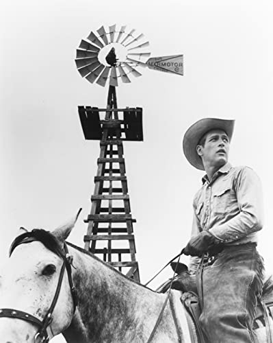 「ハッド」ポール・ニューマンの画像