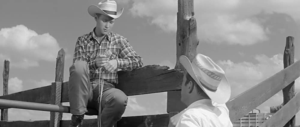 「ハッド」ポール・ニューマン & ブランドン・デ・ワイルドの画像