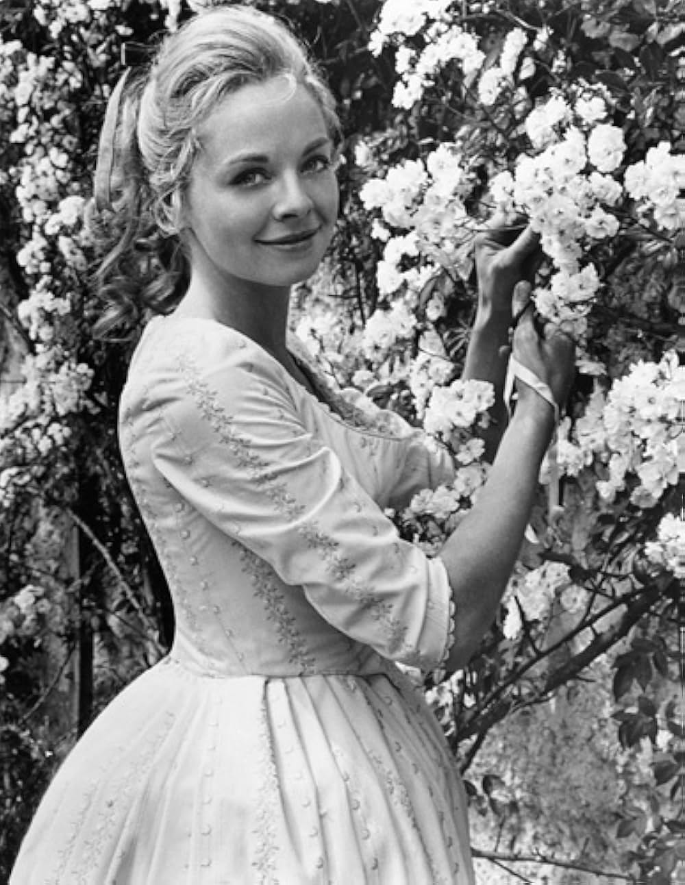 トム・ジョーンズの華麗な冒険の画像