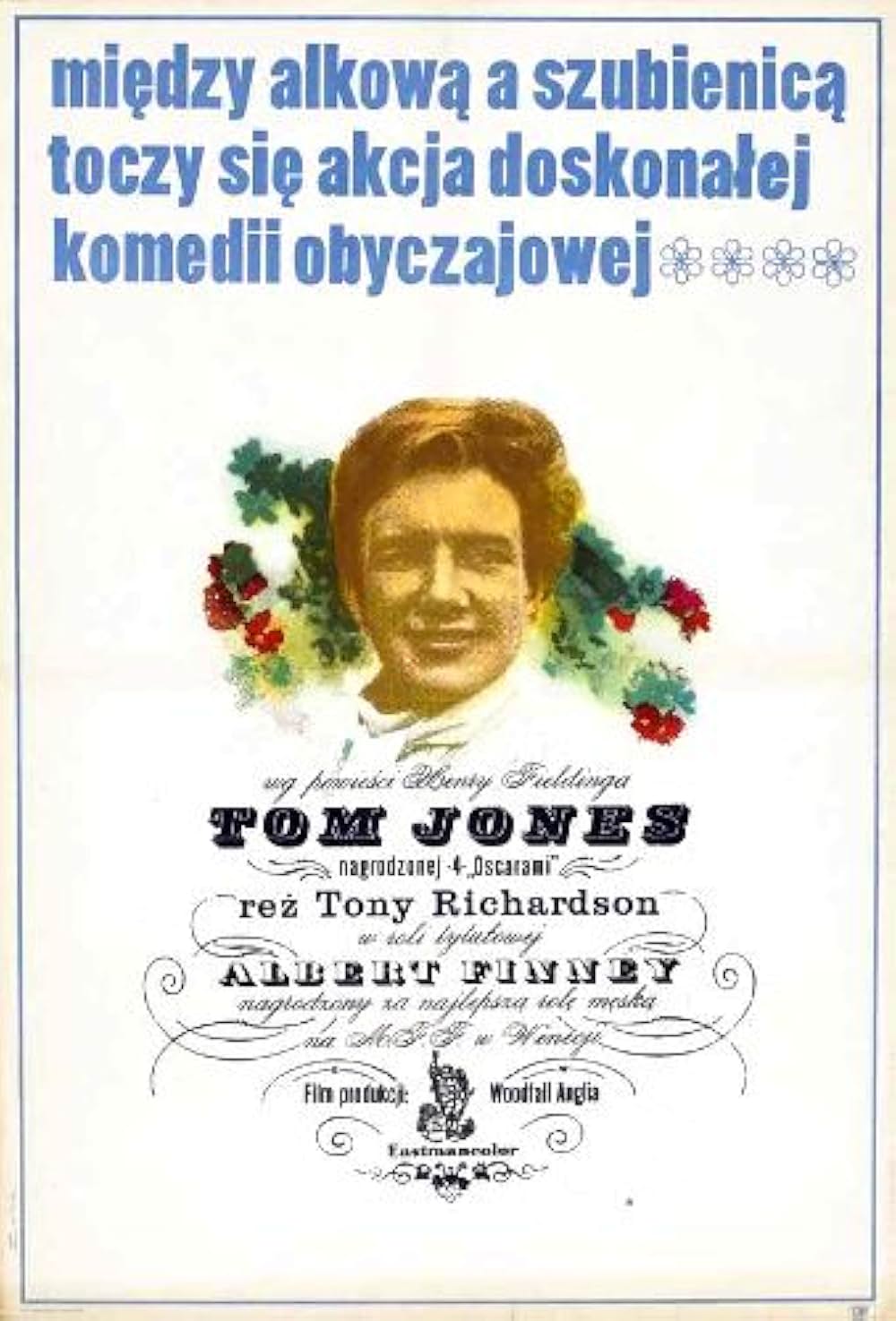 トム・ジョーンズの華麗な冒険の画像