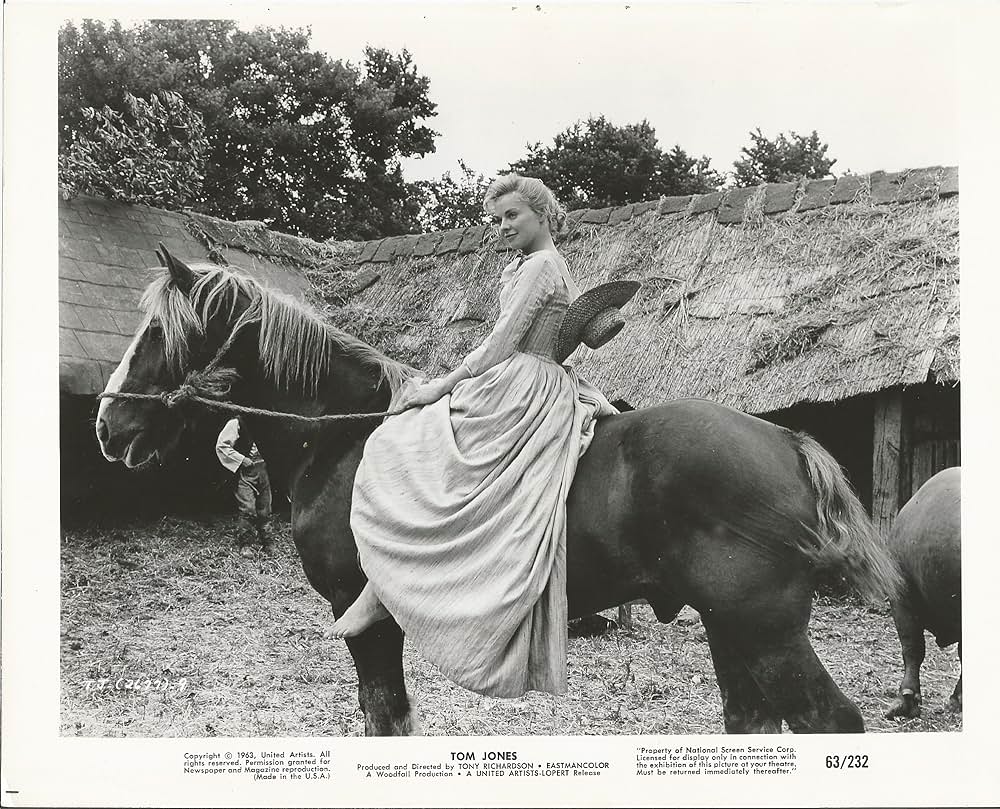 トム・ジョーンズの華麗な冒険の画像
