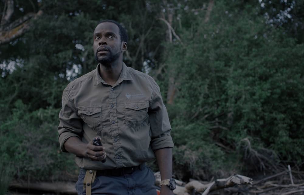 Gaia（原題）の画像