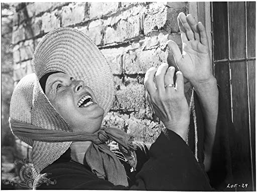 野のユリの画像