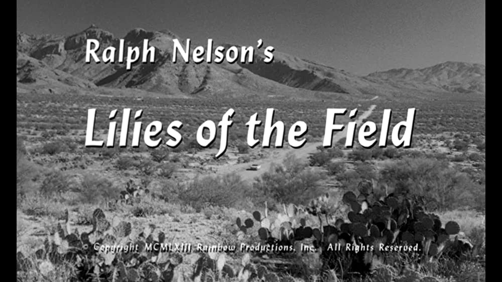 野のユリの画像