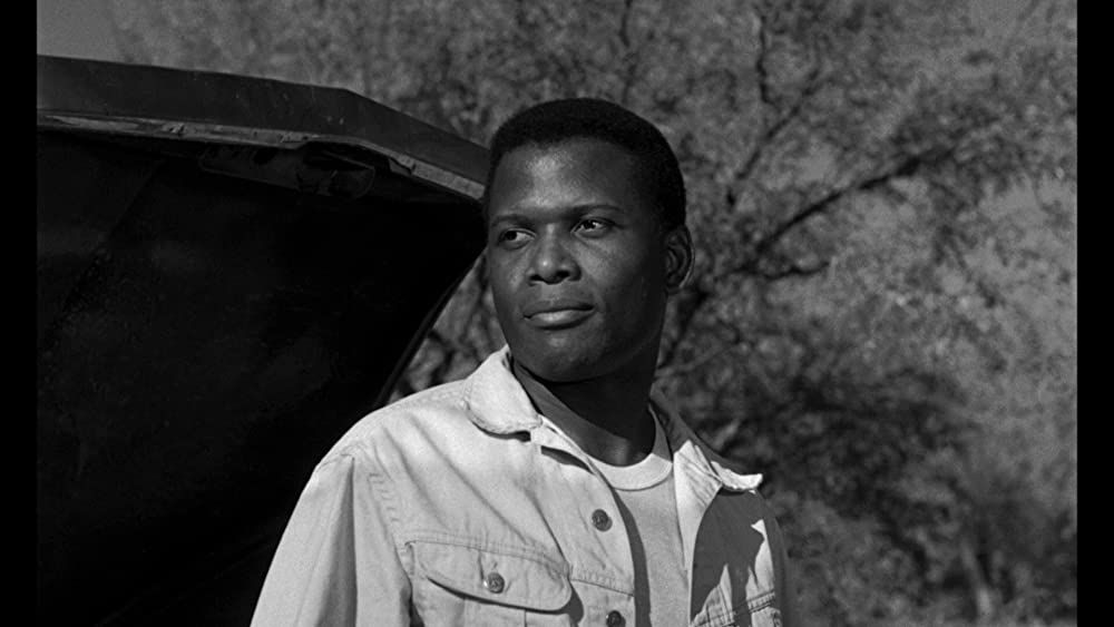 野のユリの画像