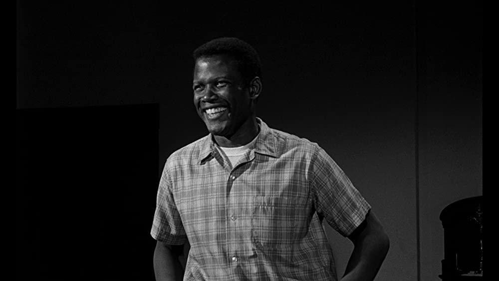 野のユリの画像