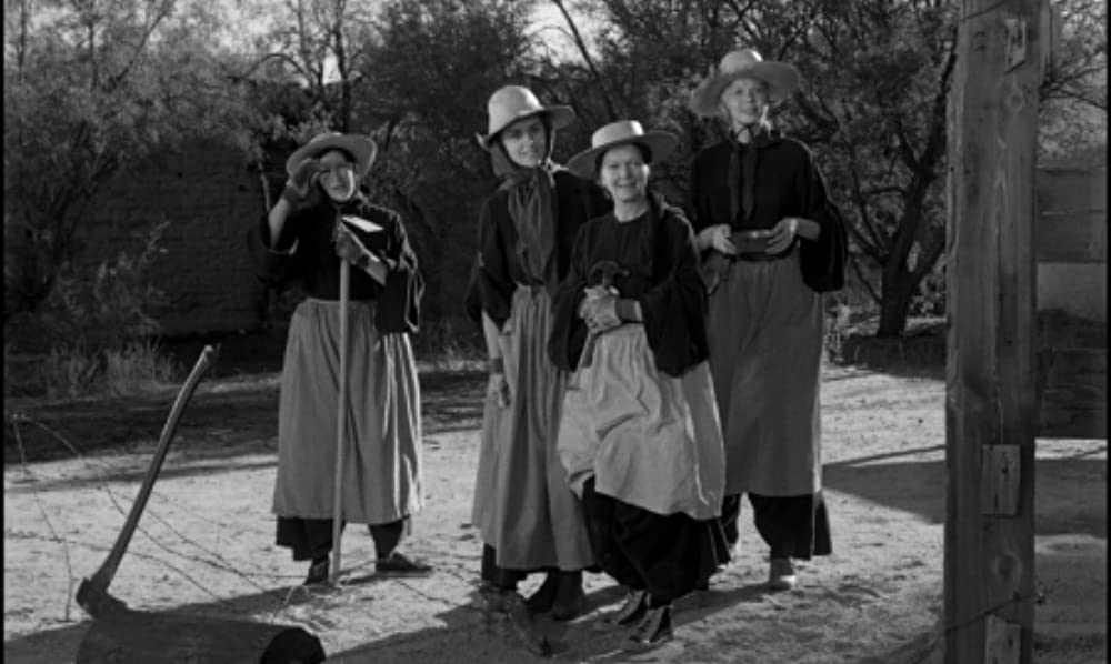 野のユリの画像