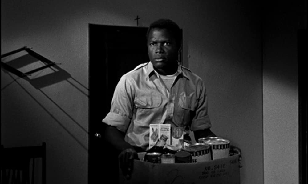 野のユリの画像