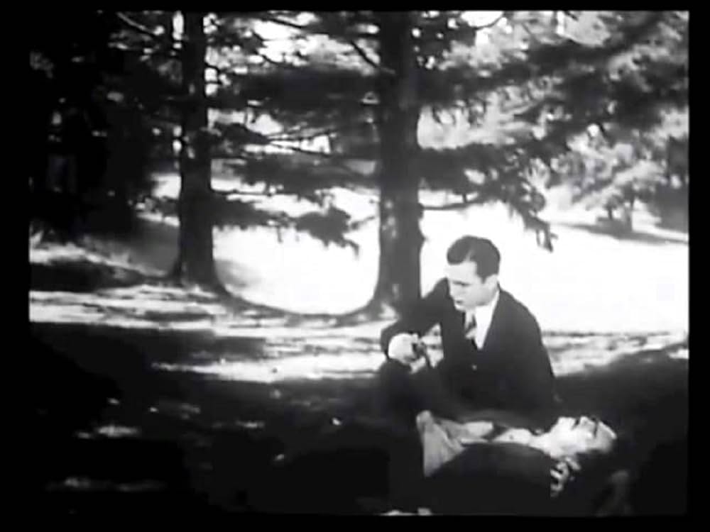 或る男の一生の画像