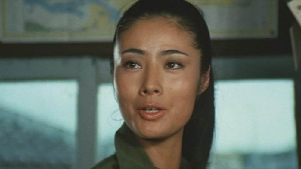 日本女侠伝 激斗ひめゆり岬の画像