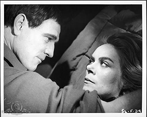 孤独の報酬の画像