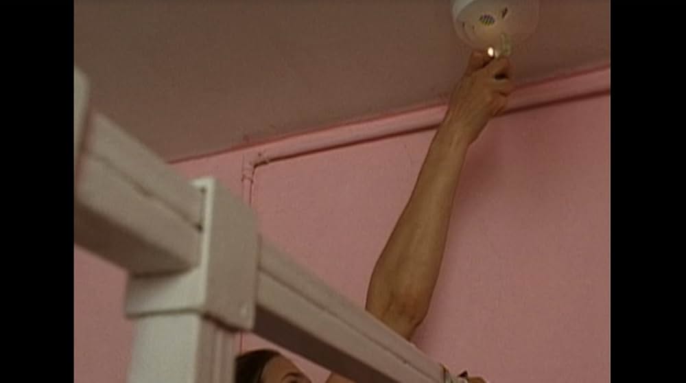 禁断の蕾の画像