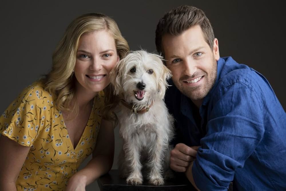 ロマンス・オン・メニュー 約束のミートパイの画像