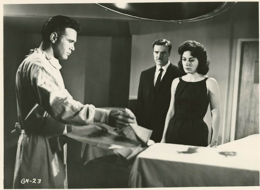 殺しを呼ぶメロディの画像