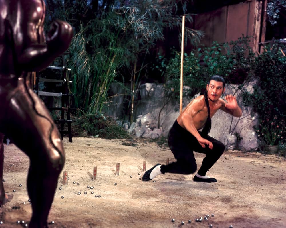 少林虎鶴拳の画像