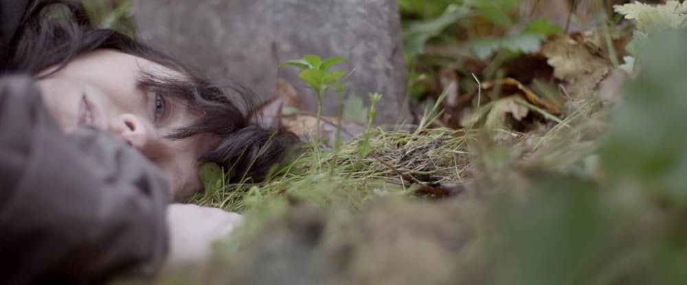 プリベンジの画像