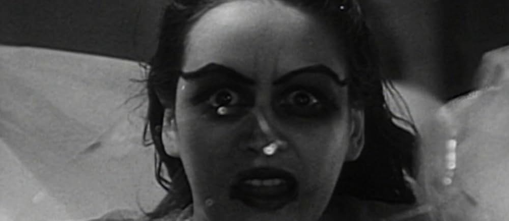 プリベンジの画像