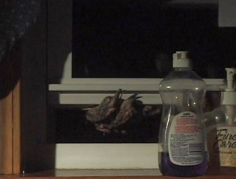 ボーン・シックネス 最強ゾンビ軍団襲来の画像