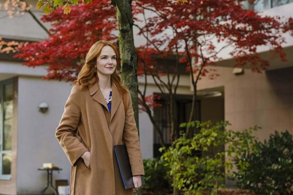 ホームタウン・ラブの画像