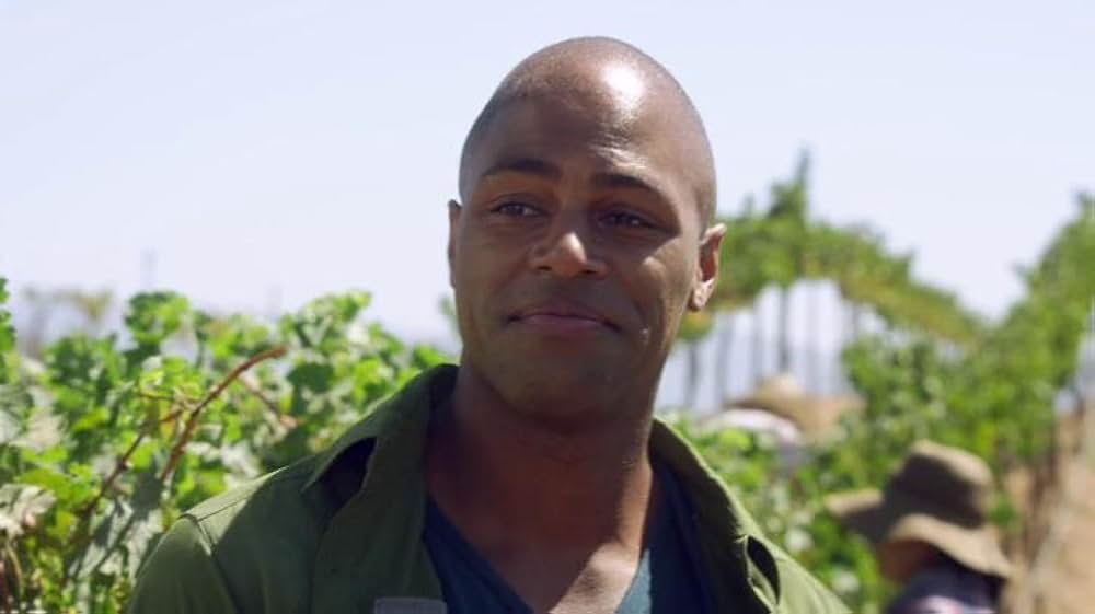 ブドウ畑で離さないでの画像