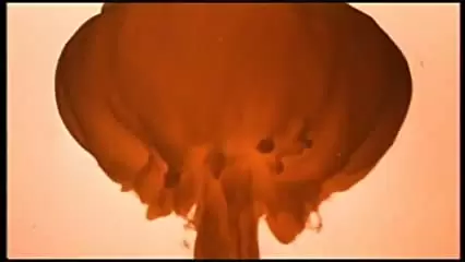 ザ・デイ・アフターの画像