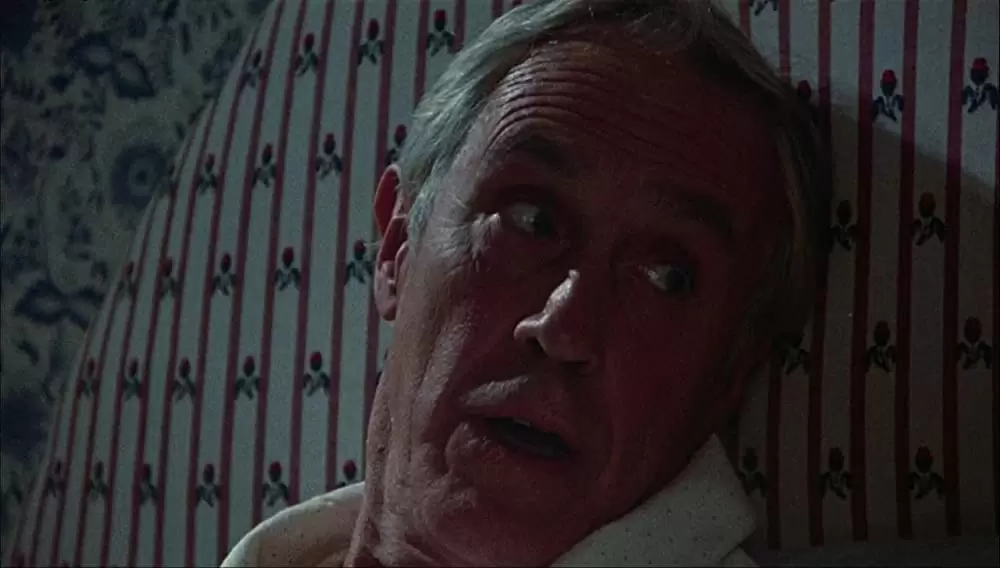 ザ・デイ・アフターの画像