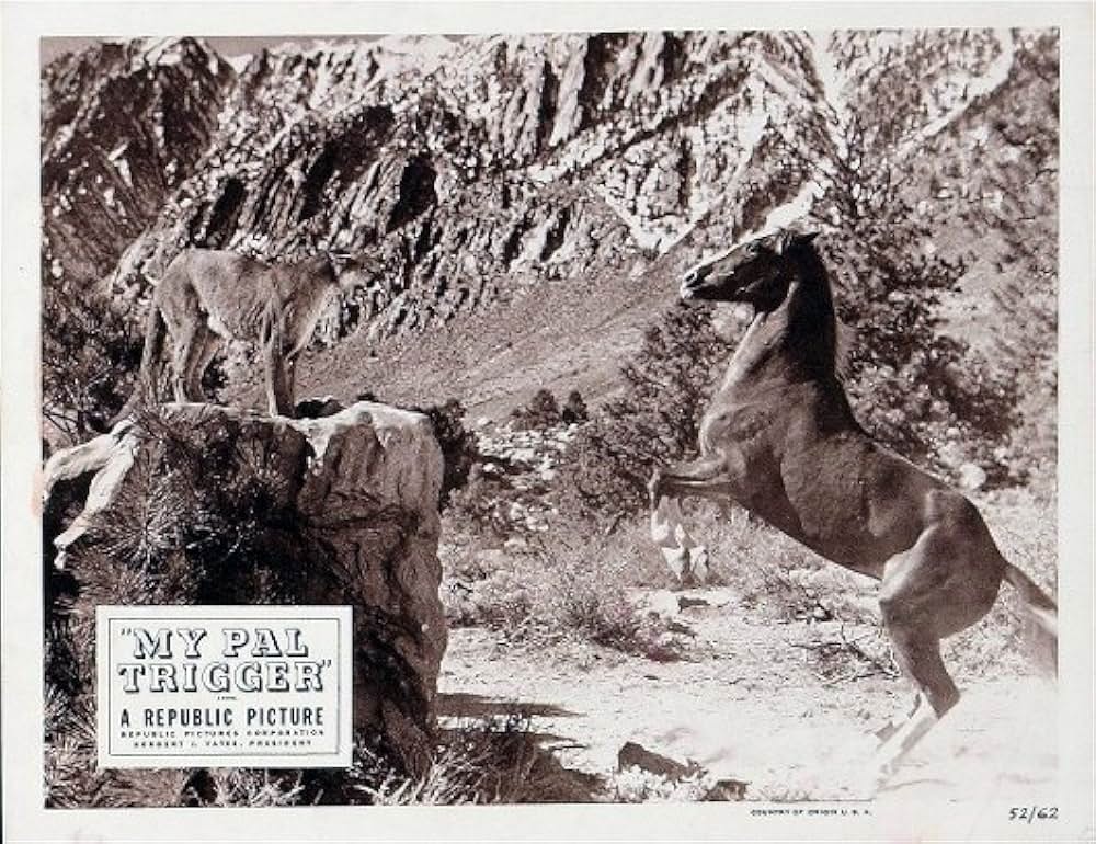 愛馬トリッガーの画像