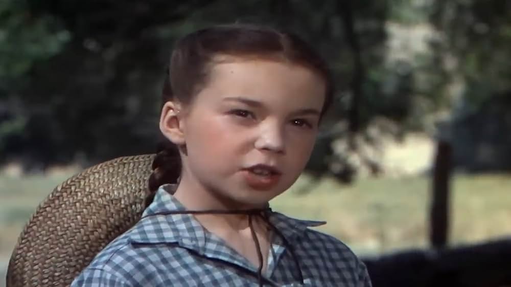 赤い子馬の画像