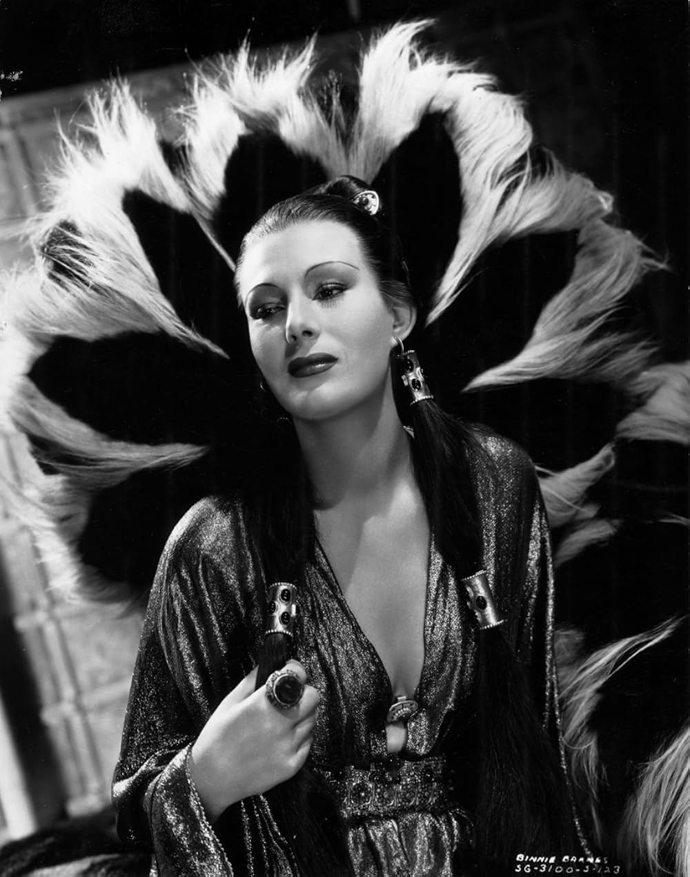 マルコ・ポーロの冒険の画像