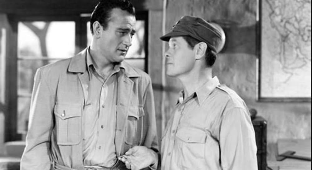 フライング・タイガーの画像