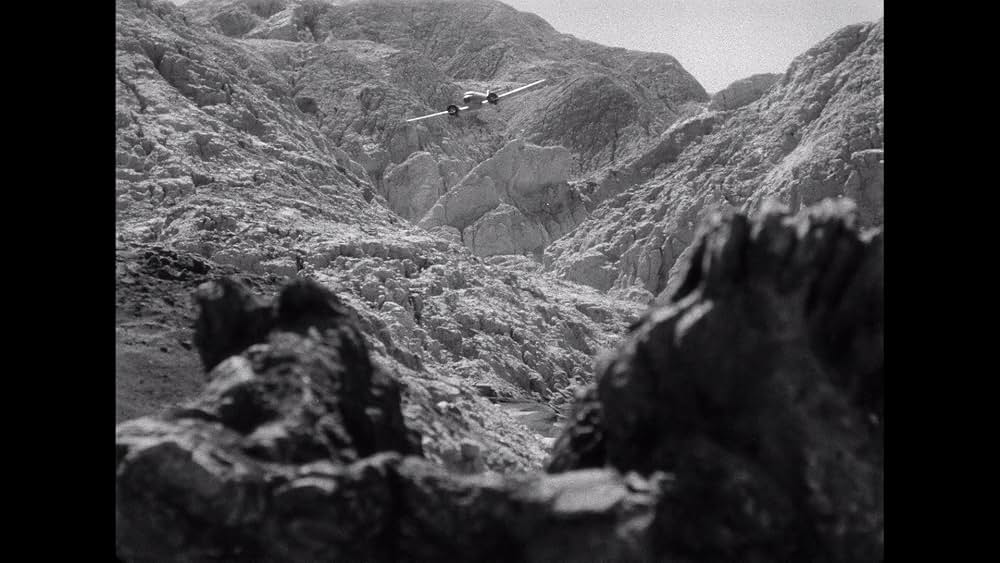 フライング・タイガーの画像