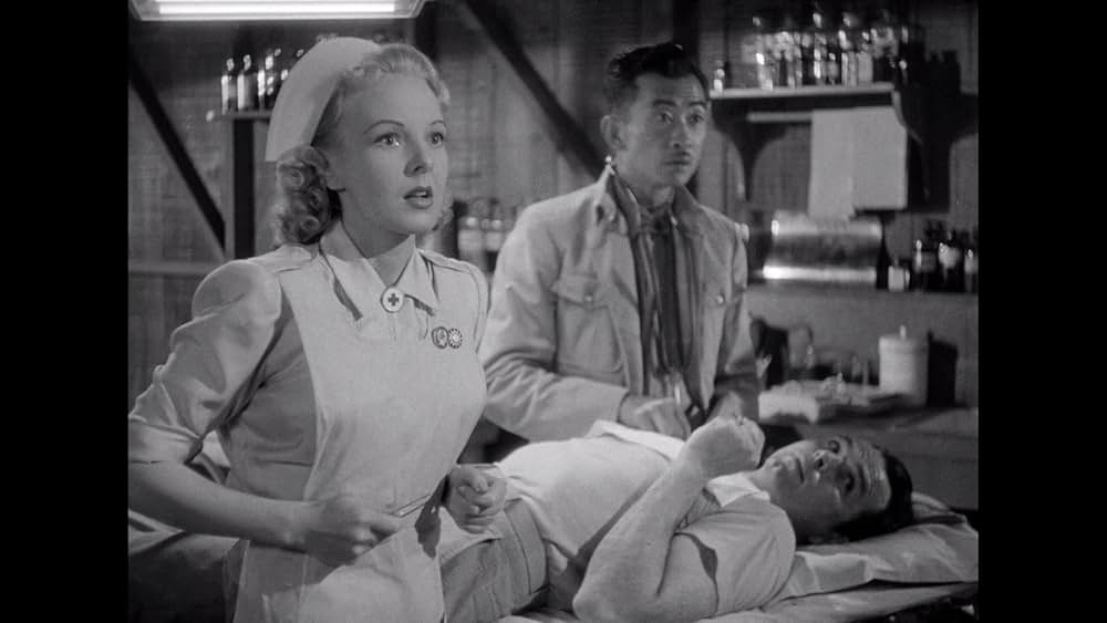 フライング・タイガーの画像