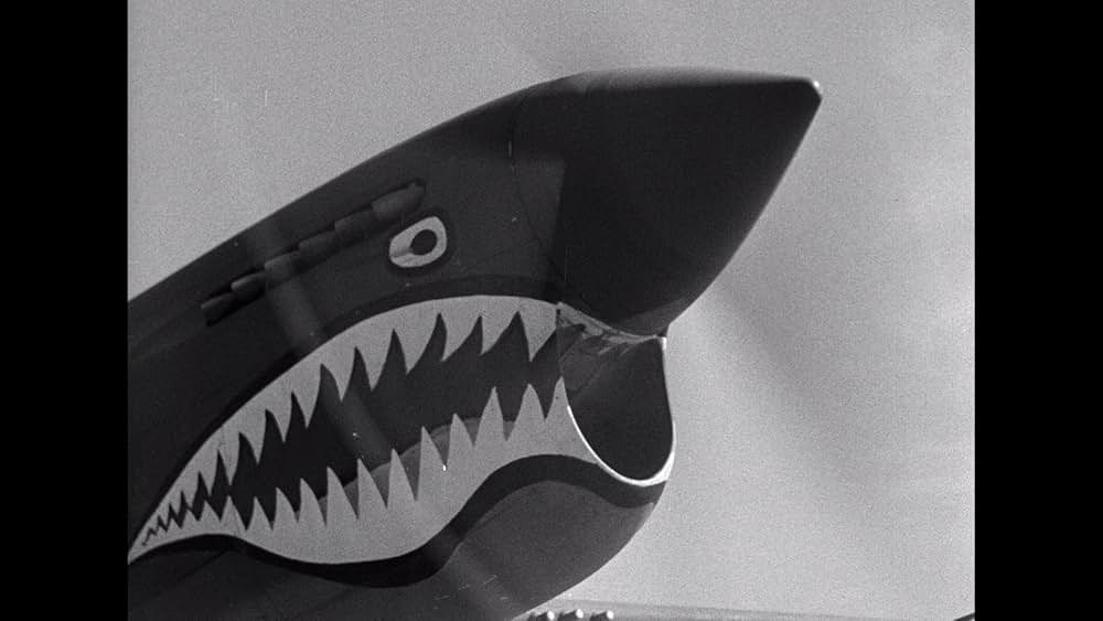 フライング・タイガーの画像