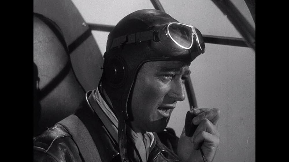 フライング・タイガーの画像