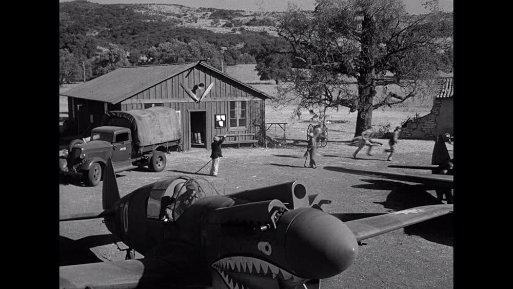 フライング・タイガーの画像