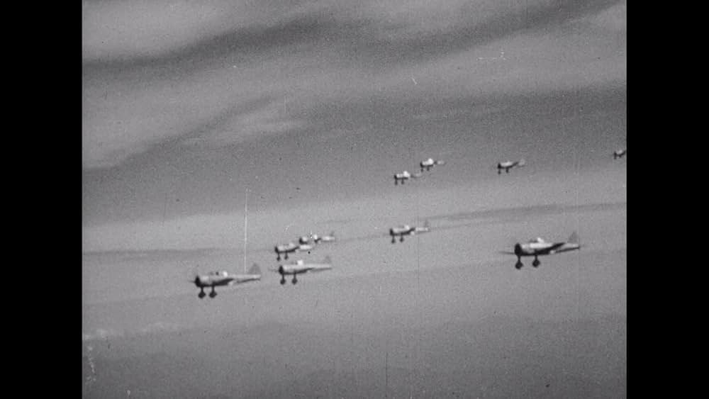 フライング・タイガーの画像