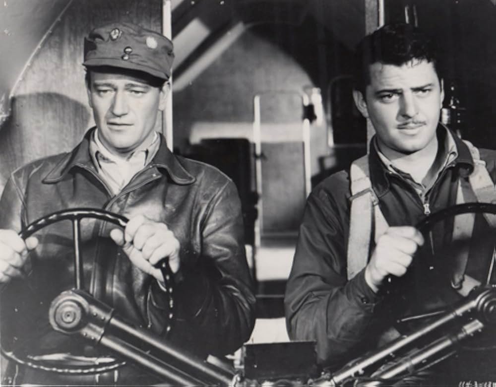 フライング・タイガーの画像