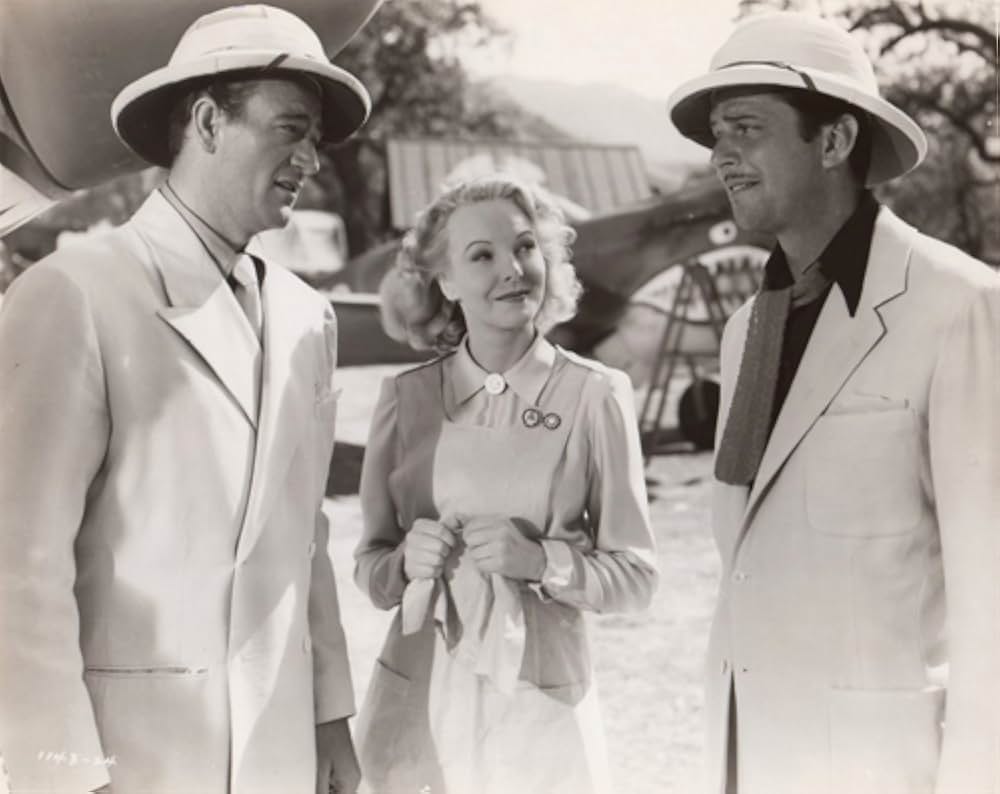 フライング・タイガーの画像