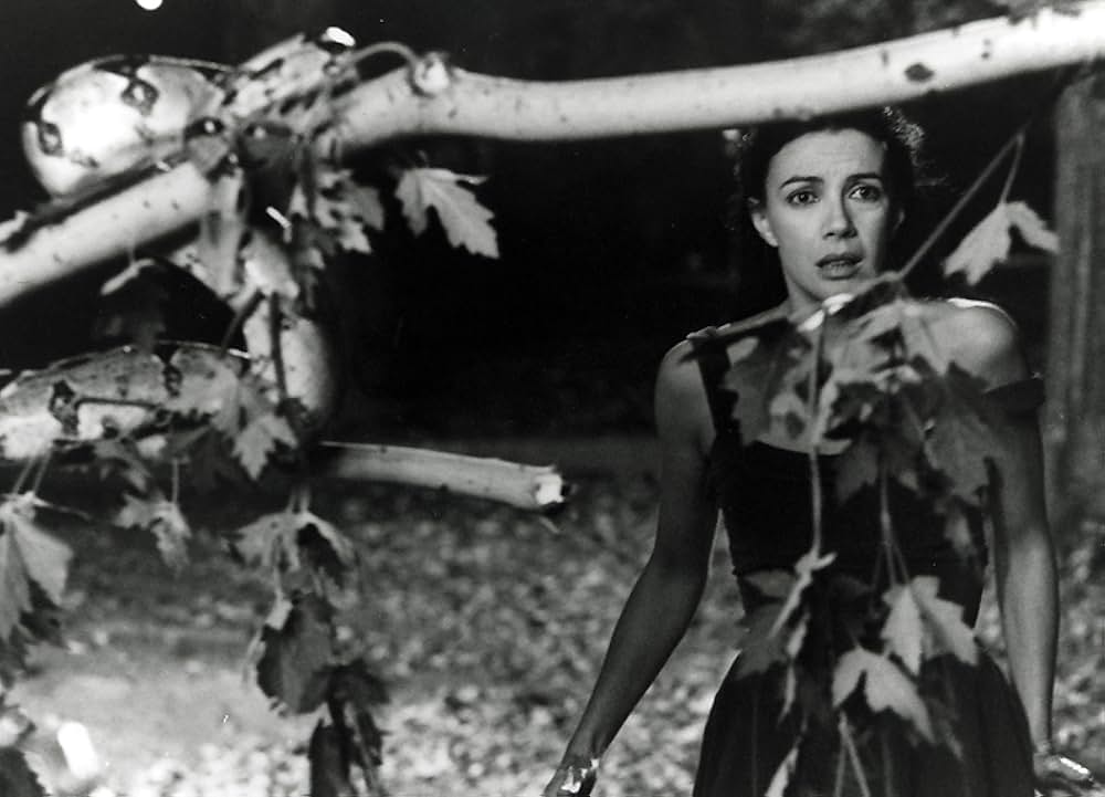 ナイト・マジック／幻想夜曲の画像