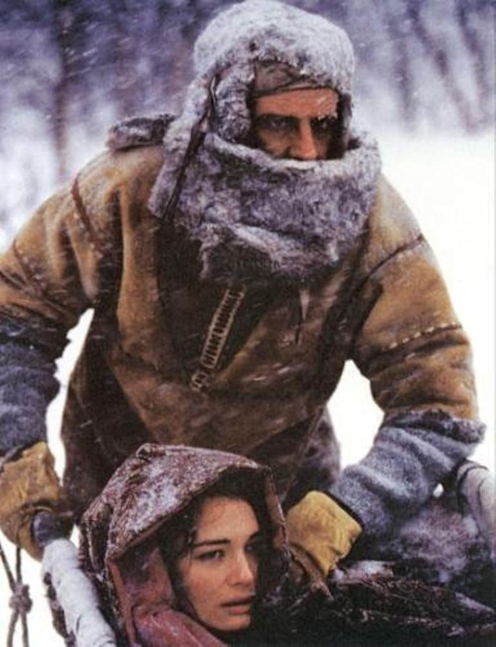 フリーズ／地獄の相続人の画像