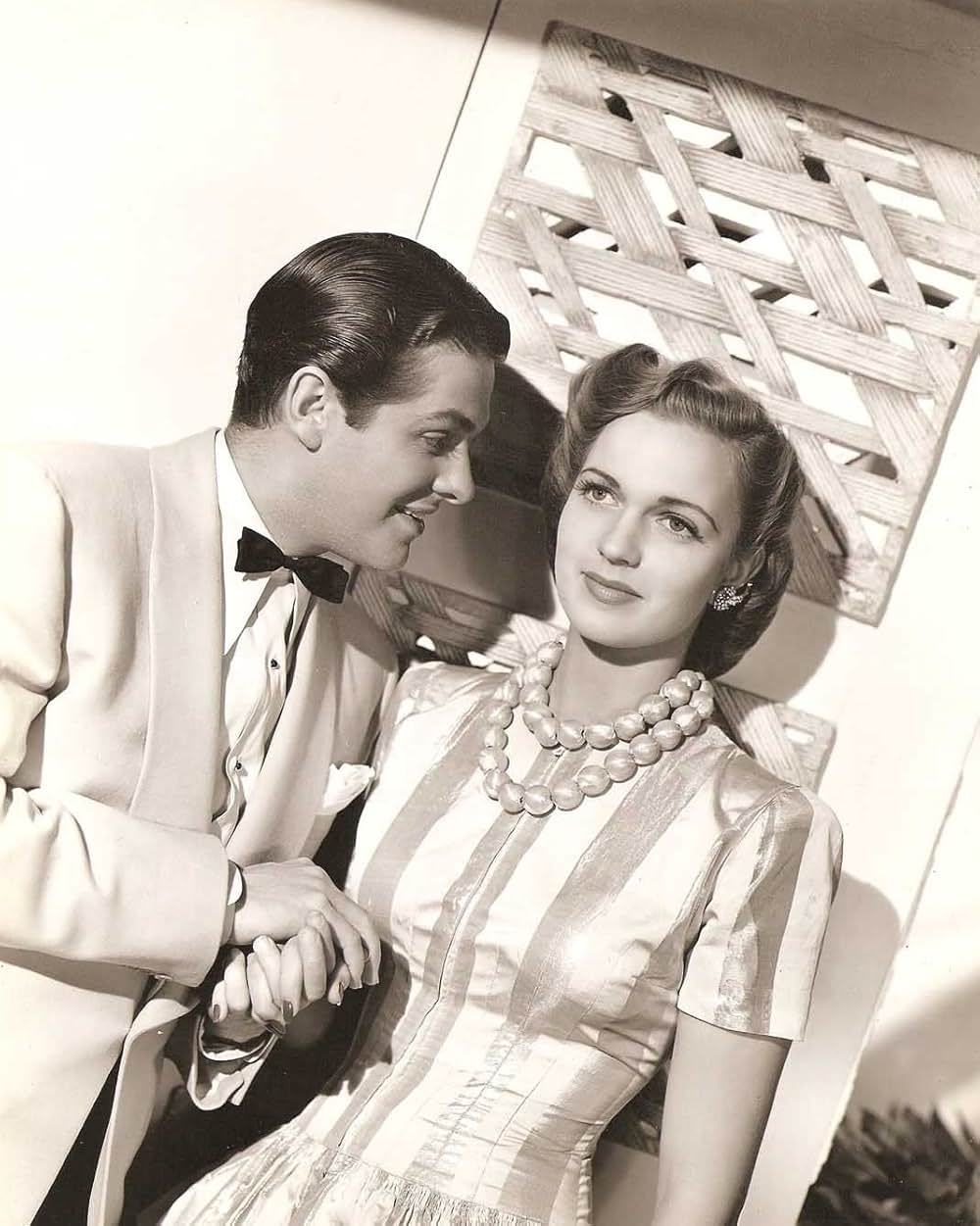 マイアミの月の画像