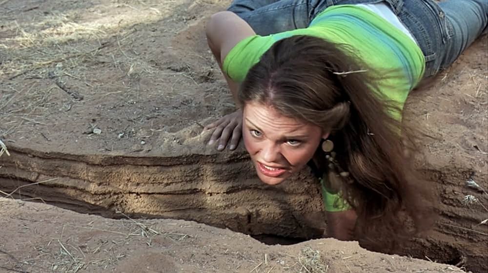 トレジャー・ランド 謎の古代人と秘密の笛の画像