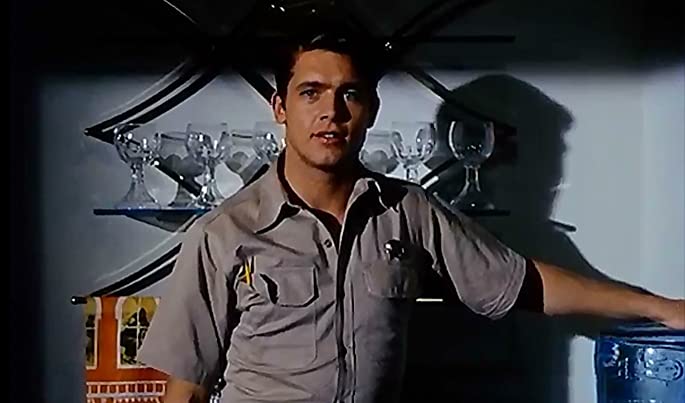 チャップマン報告（レポート）の画像