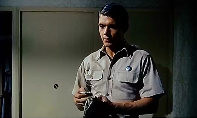 チャップマン報告（レポート）の画像