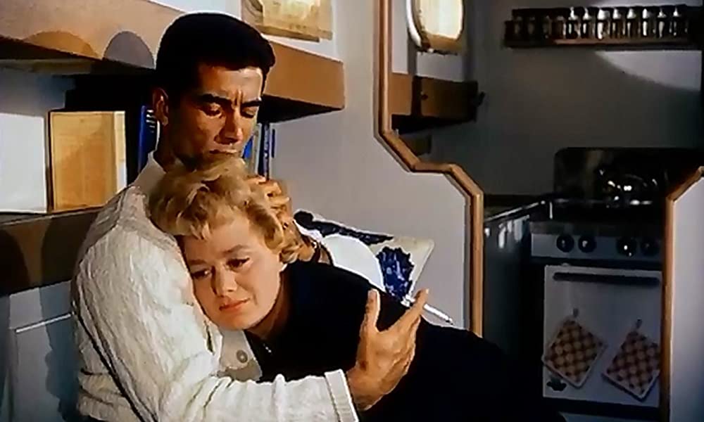 チャップマン報告（レポート）の画像