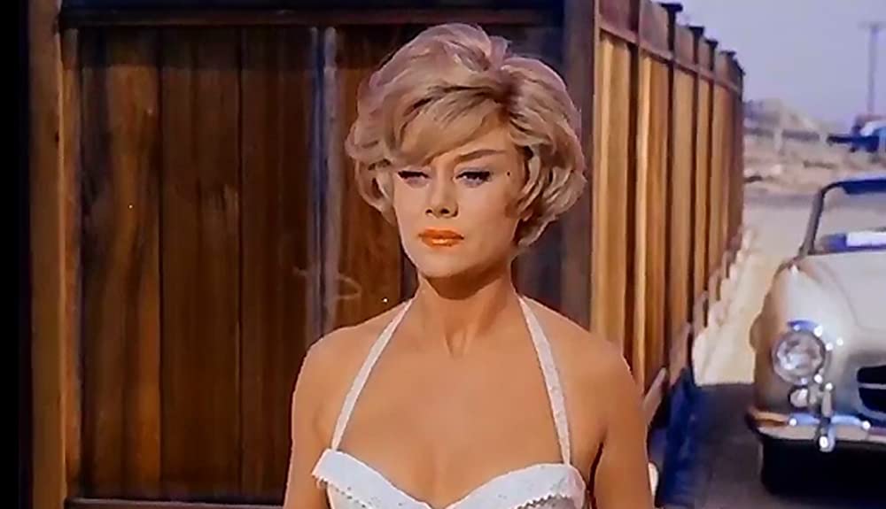 チャップマン報告（レポート）の画像