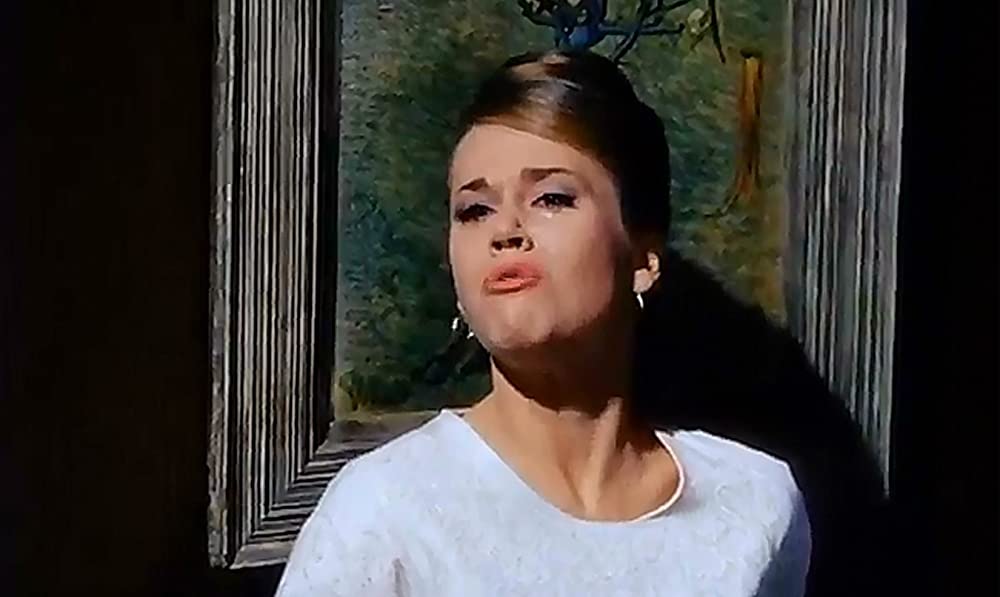 チャップマン報告（レポート）の画像