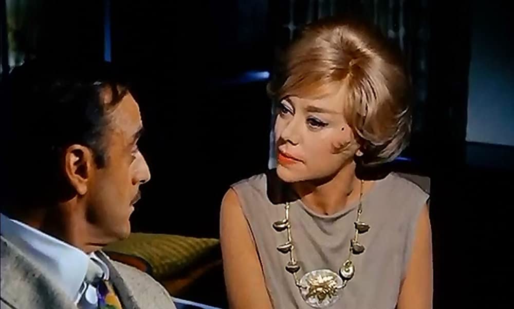 チャップマン報告（レポート）の画像