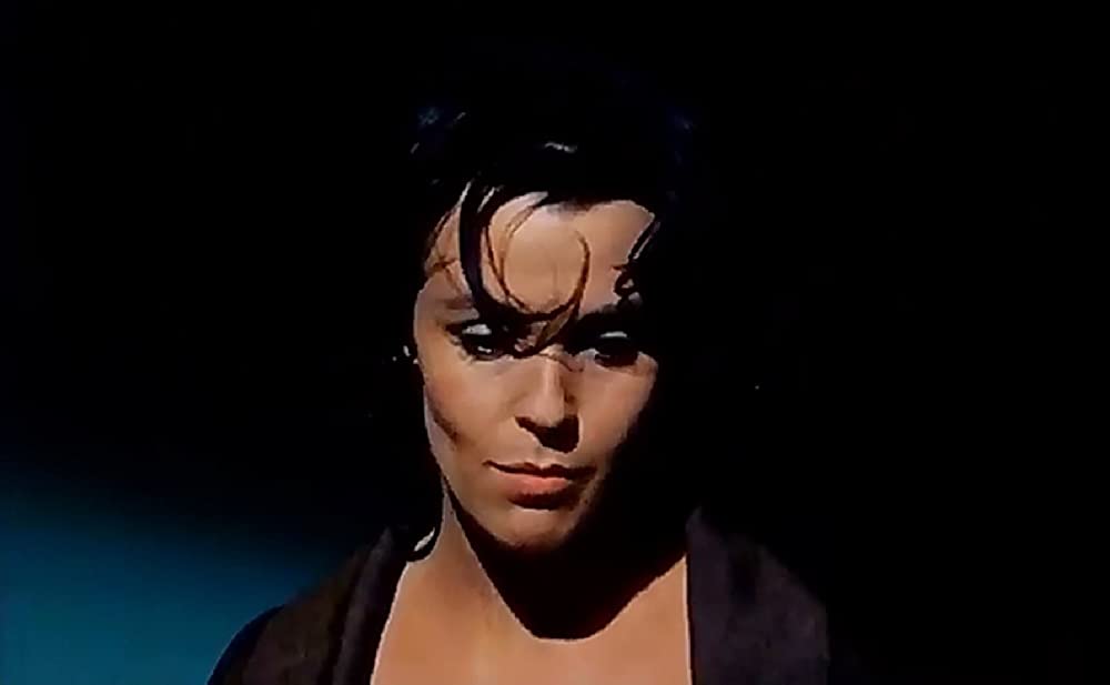 チャップマン報告（レポート）の画像