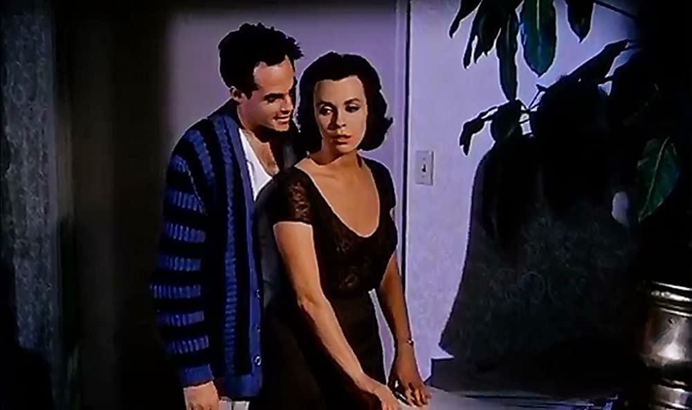 チャップマン報告（レポート）の画像